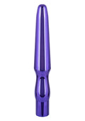 Sonda anale ricaricabile viola